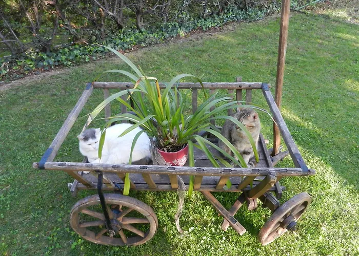 Bed & Breakfast Pegaso